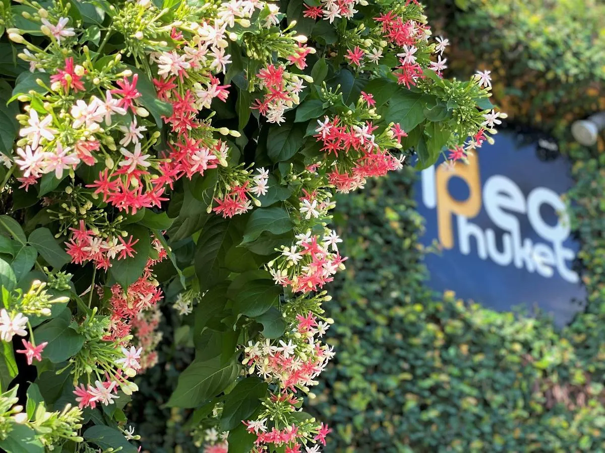 Ideo Phuket Hotel - Sha Extra Plus Nai Yang Beach